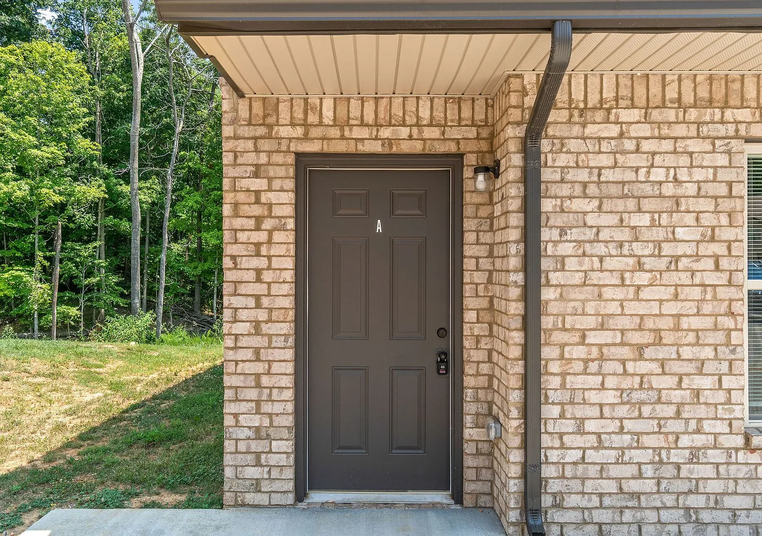 223 Smithson Lane — Photo 3