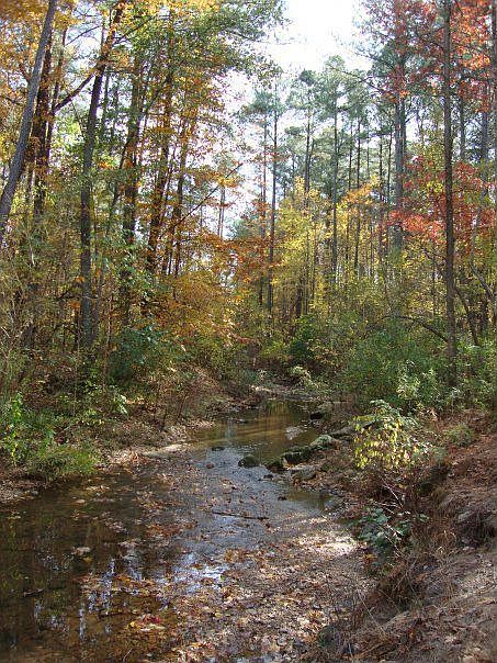 Stream and Park behind home