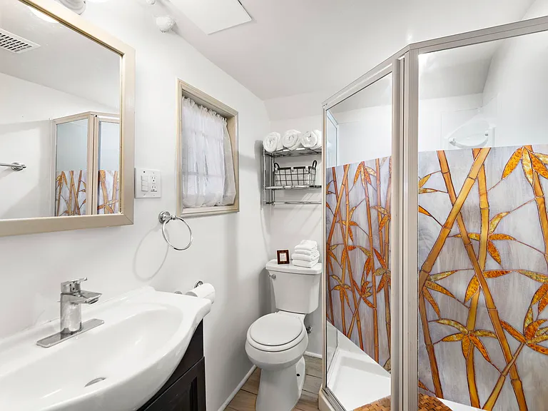 Downstairs Shower
