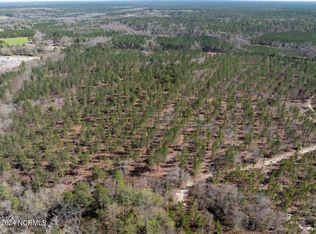 4 Jones Spring Church Rd, Ellerbe, NC 28338