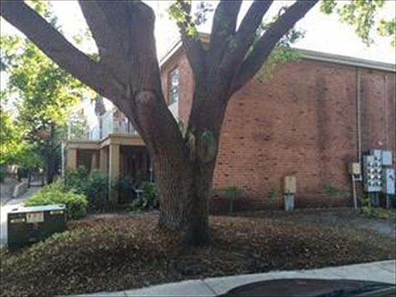 4th image of 476 Banyon Tree Cir APT 204
