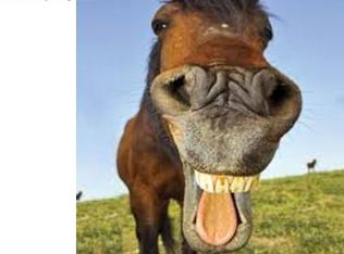 14882 N 115th St, Longmont, CO 80504