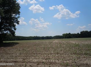 12291 Swamp Fox Hwy W, Cerro Gordo, NC 28430