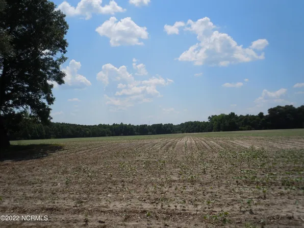 12291 Swamp Fox Highway W, Cerro Gordo, NC 28430