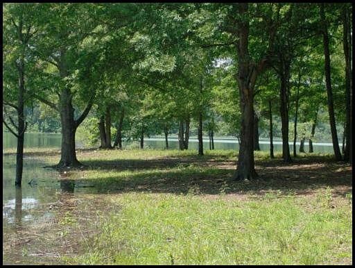 1st image of LOT 2 Highway 25/70 W