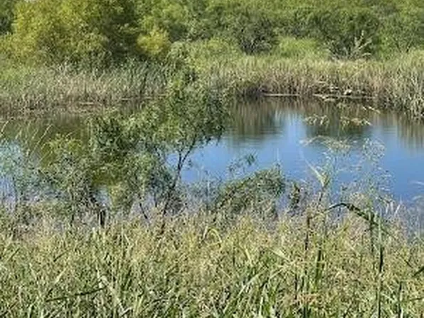 912 O'D Ln, Coleman, TX 76834