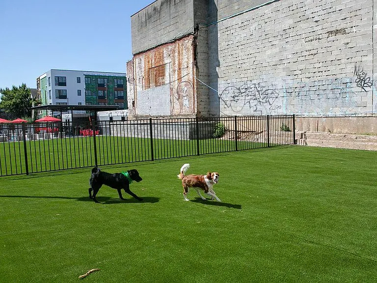 1412 N 31st St #B0 — Photo 17