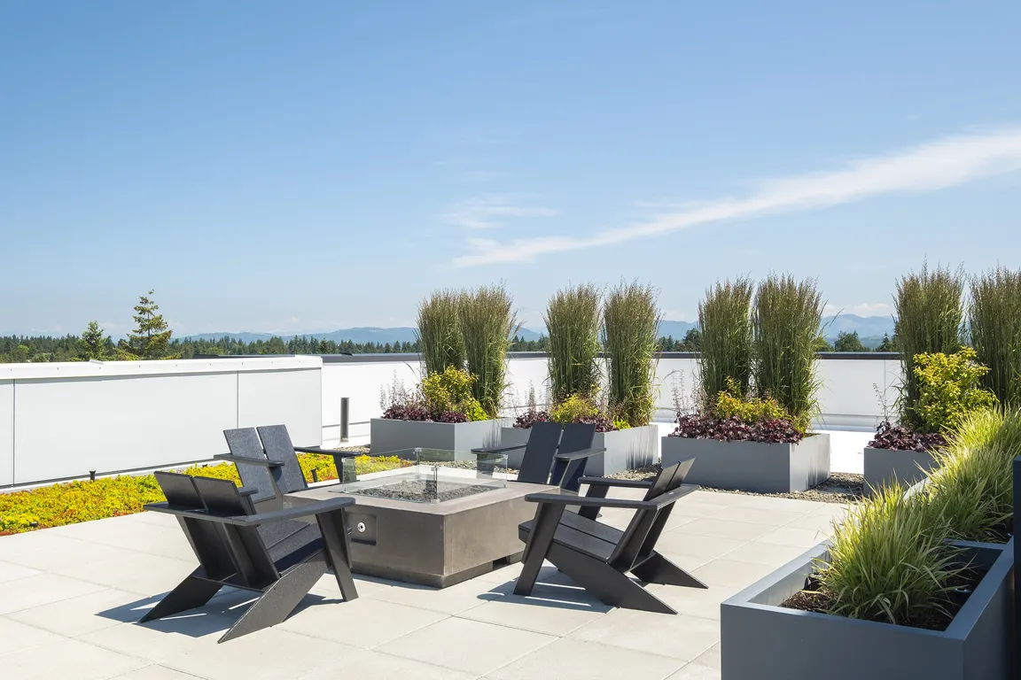 Amelia_Rooftop_20250605 (5)