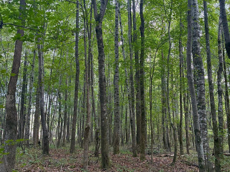 1st image of N Enon Rd