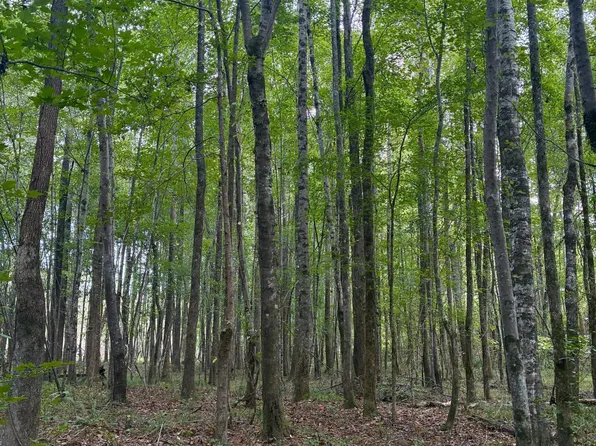 N Enon Rd, Ackerman, MS 39735