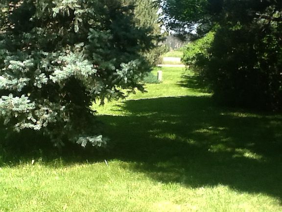 Green belt