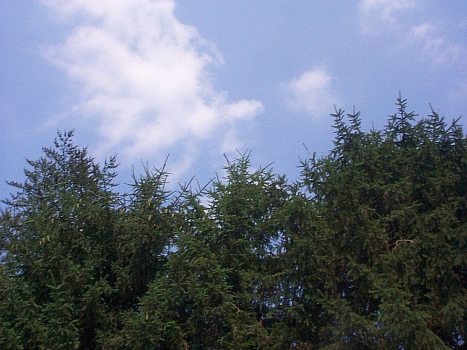 1st image of 25 Olive Ln