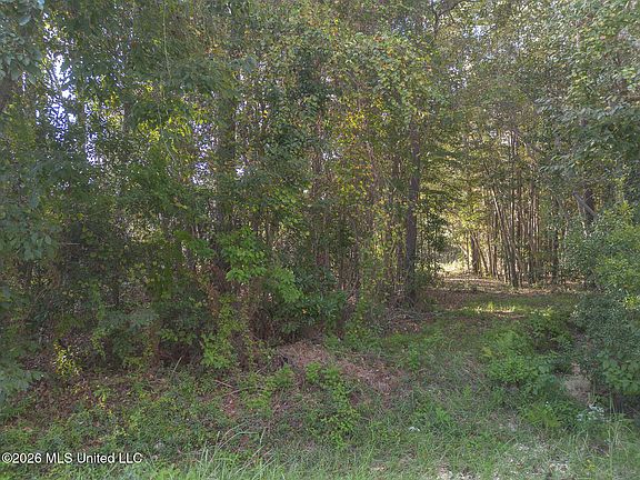 2nd image of 9524 Kale Pl