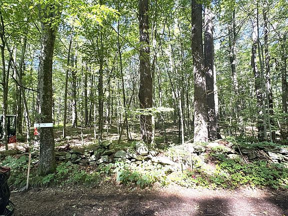 5th image of LOT 2 Daniels Rd