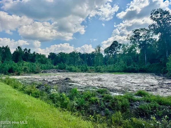 0 Near 436 Near 436 Giles Byrd Road, Hallsboro, NC 28442