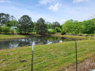 6474 County Road 940 #0, Logan, AL, 35098