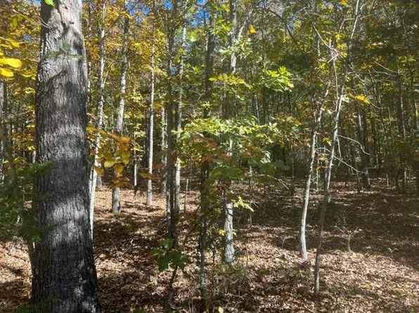 000 Oregon County Road 264, Thayer, MO 65791