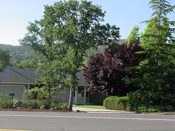 Lush trees make this home feel very secluded.