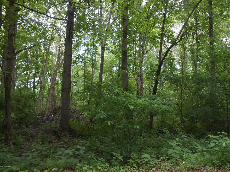 2nd image of 1 Davis Ct