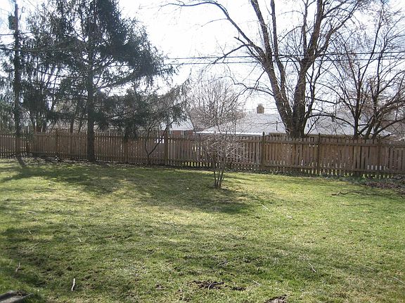 Back yard