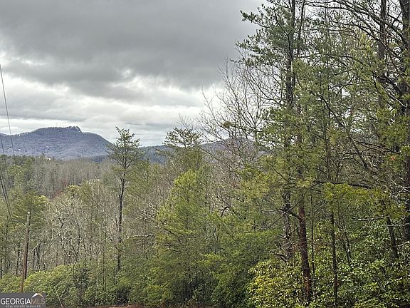 LOT 9 Bill Brown Cv, Hiawassee, GA 30546 | MLS #10253218 | Zillow