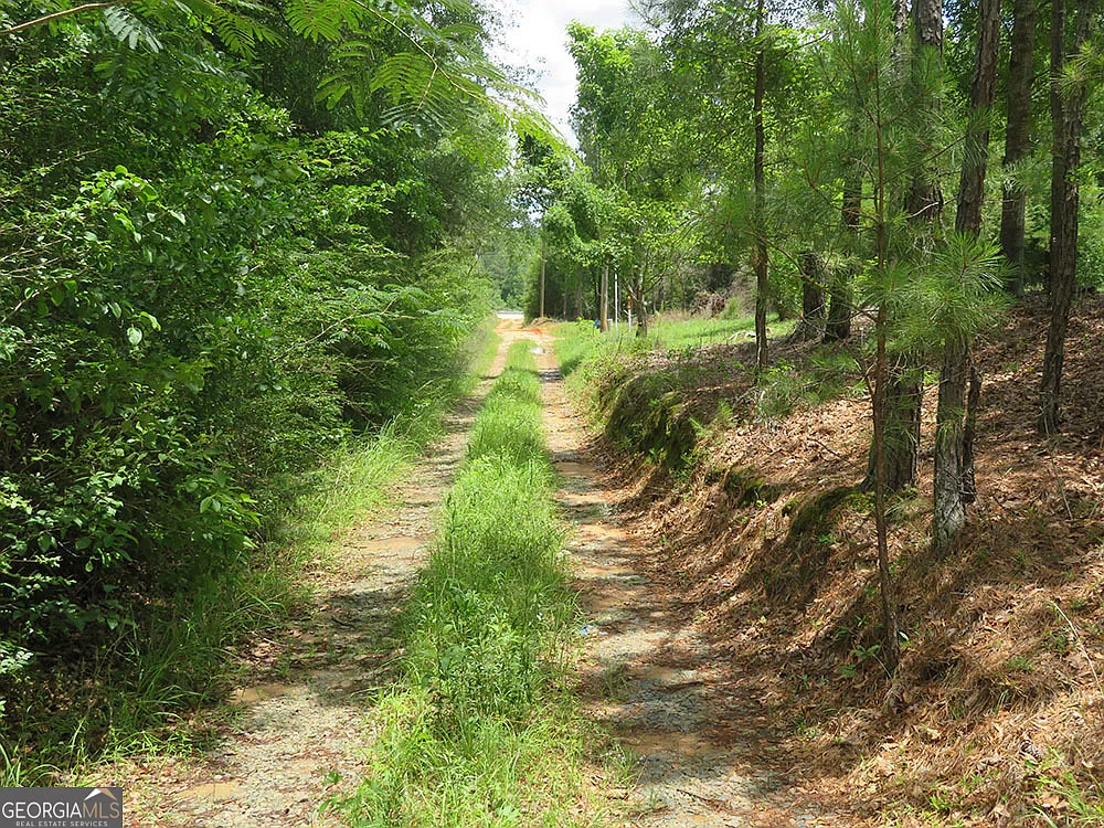 0 Louise Beall Rd photo 1