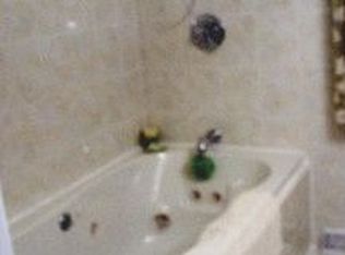 335 Hackberry Ct, Wood Dale, IL 60191