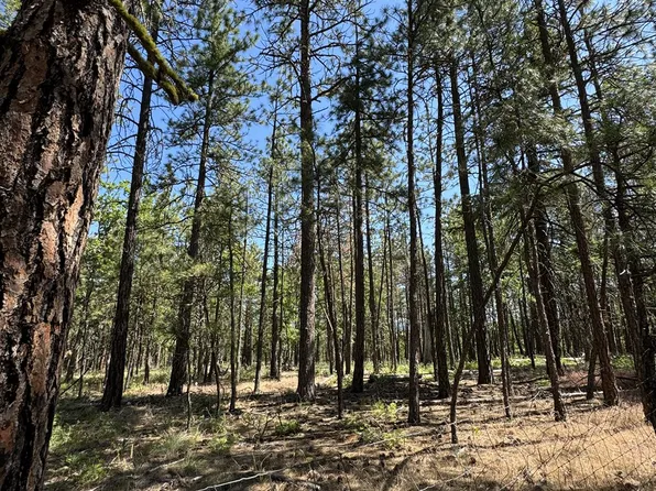 (undisclosed Address), Goldendale, WA 98620