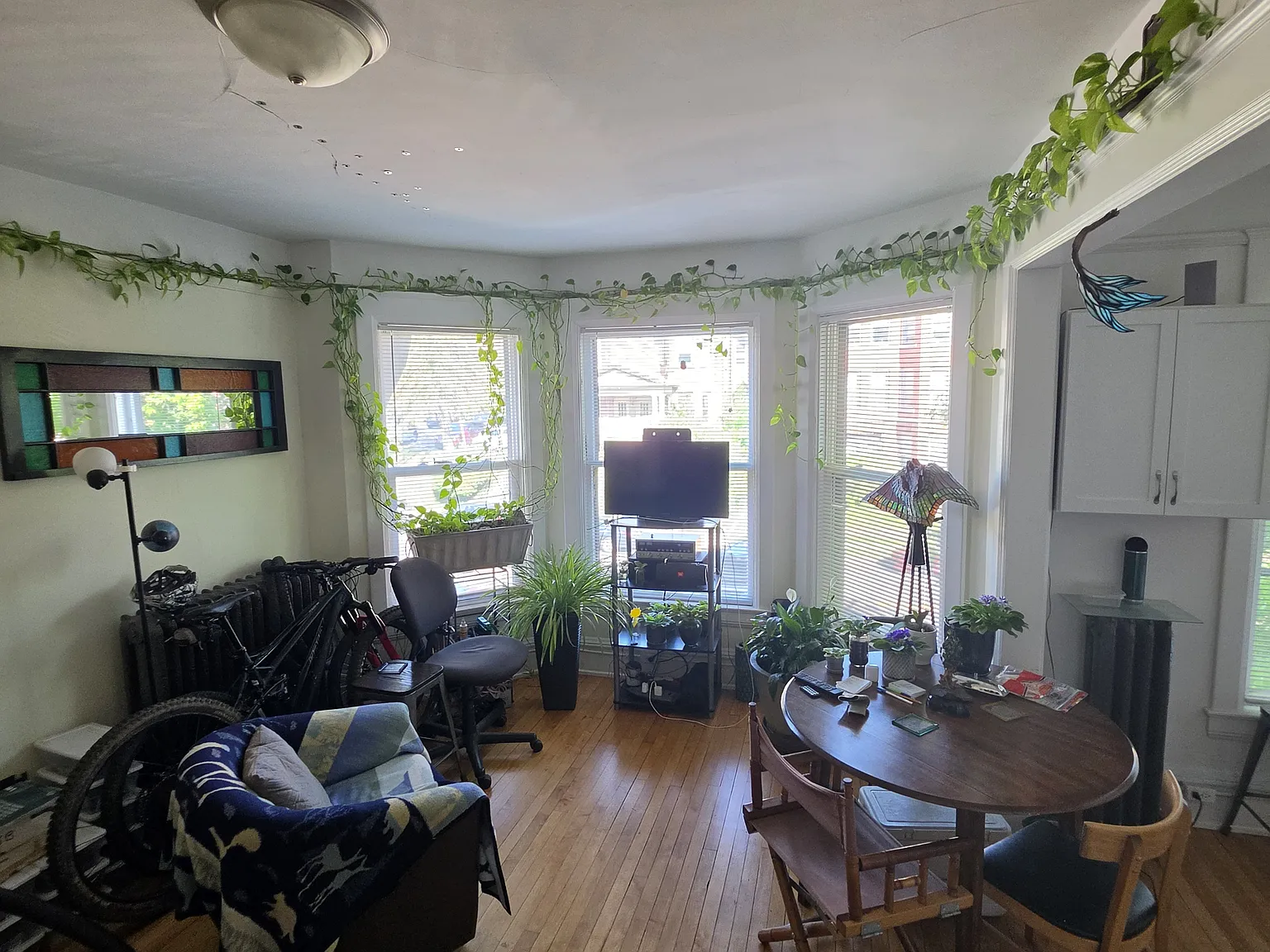 1 bed, 550 sqft, $1,225 — Photo 1