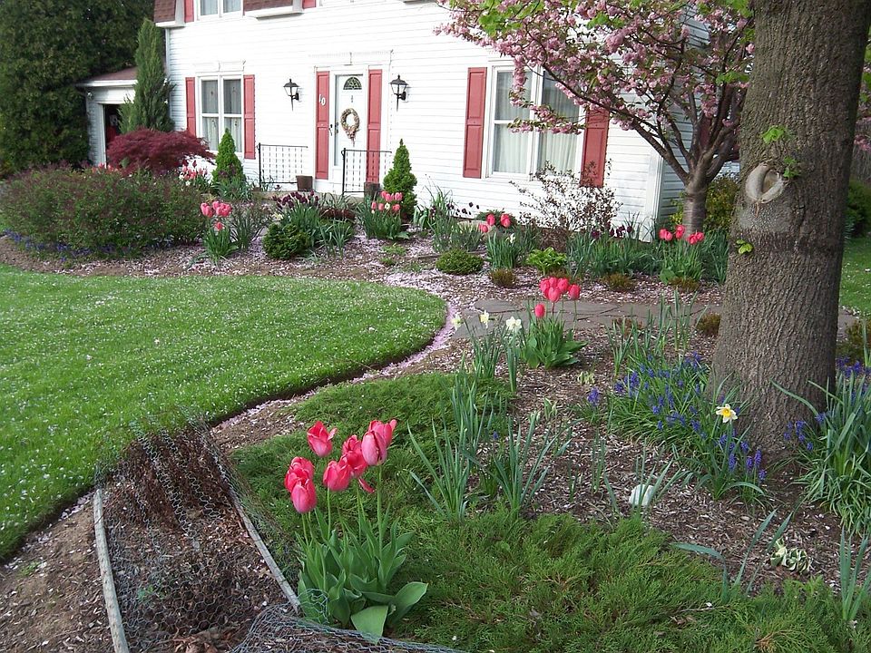 Front landscaping
