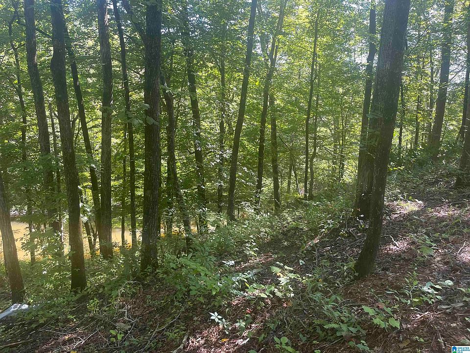 1st image of 28 Trails End Ln #19 & 20