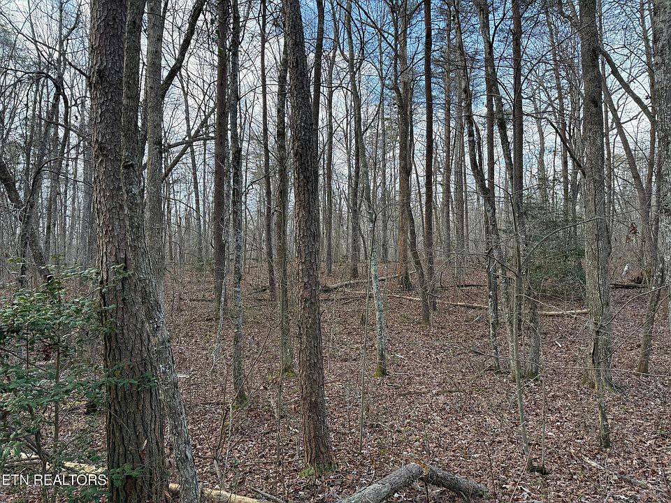 1st image of N Laurel Loop