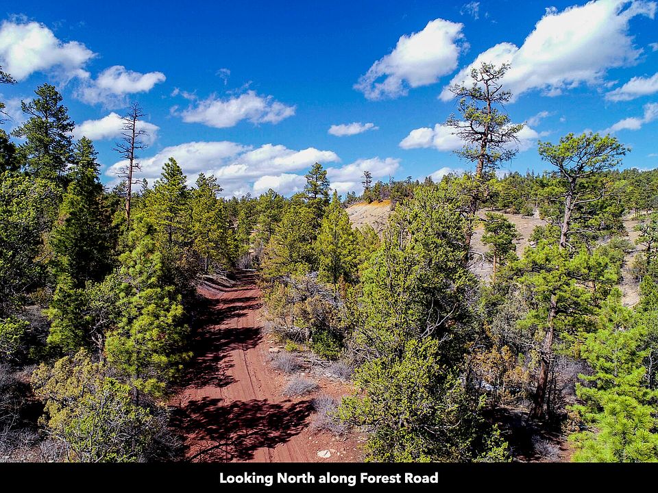 0 Forest Rd, Ramah, NM 87321 MLS 1043353 Zillow