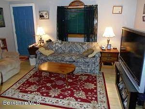 Bamboo Floor in Living Room
