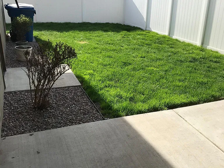 Fenced Yard