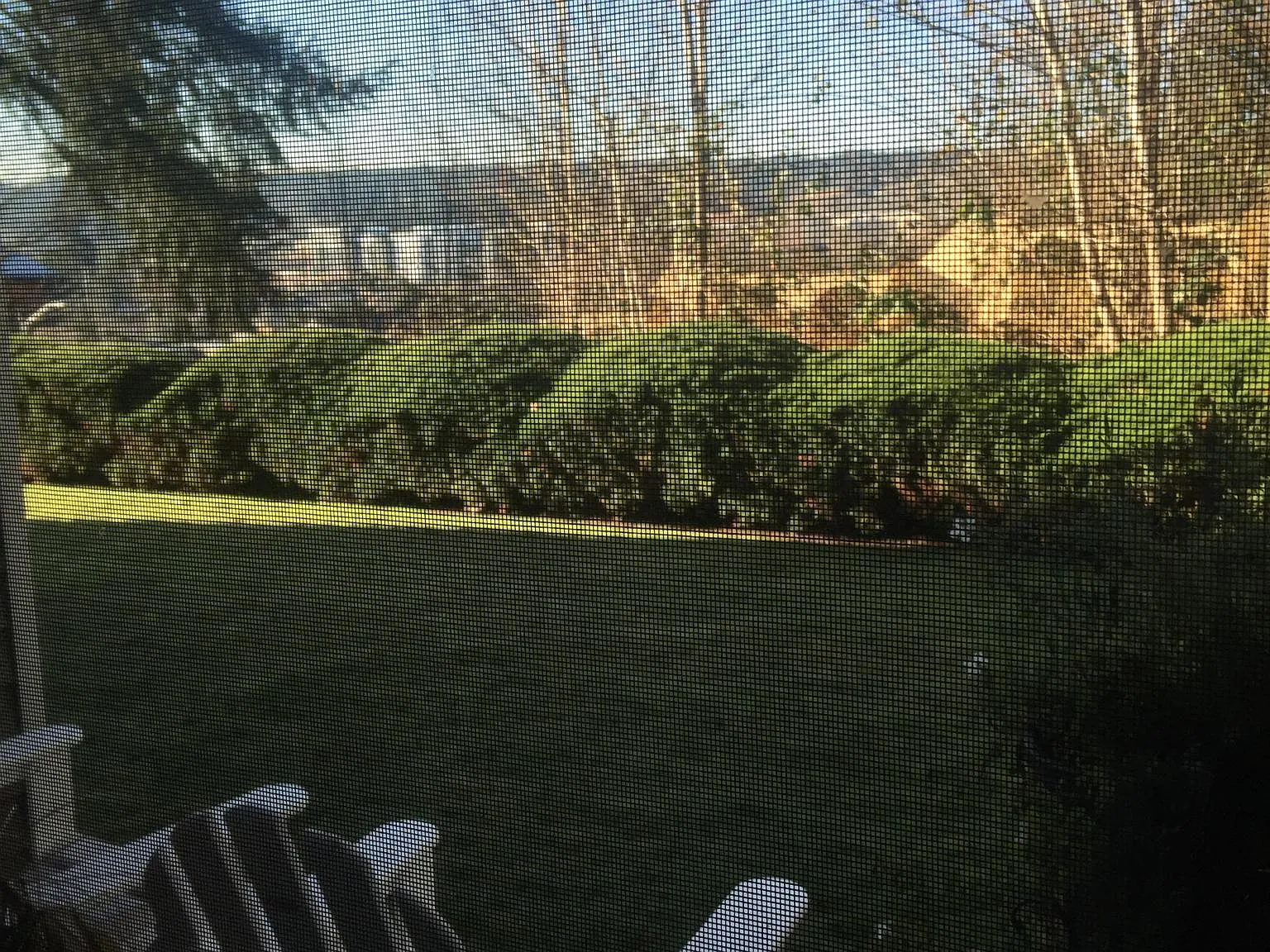 1 bed, 680 sqft, $1,695 — Photo 2