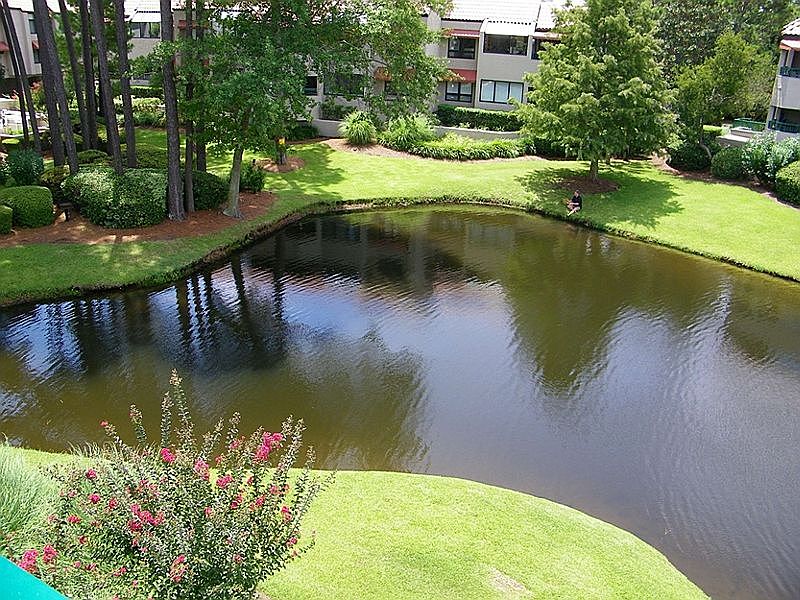 1st image of 3 Shelter Cove Ln APT 7416