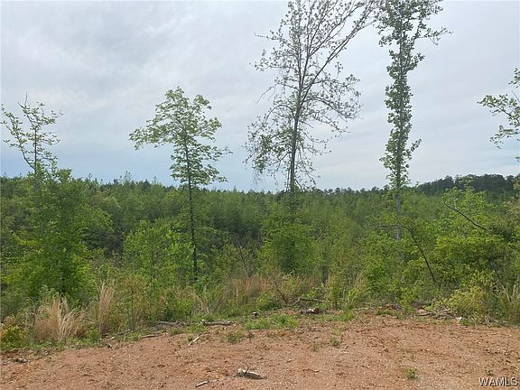 3rd image of 2 County Road 51