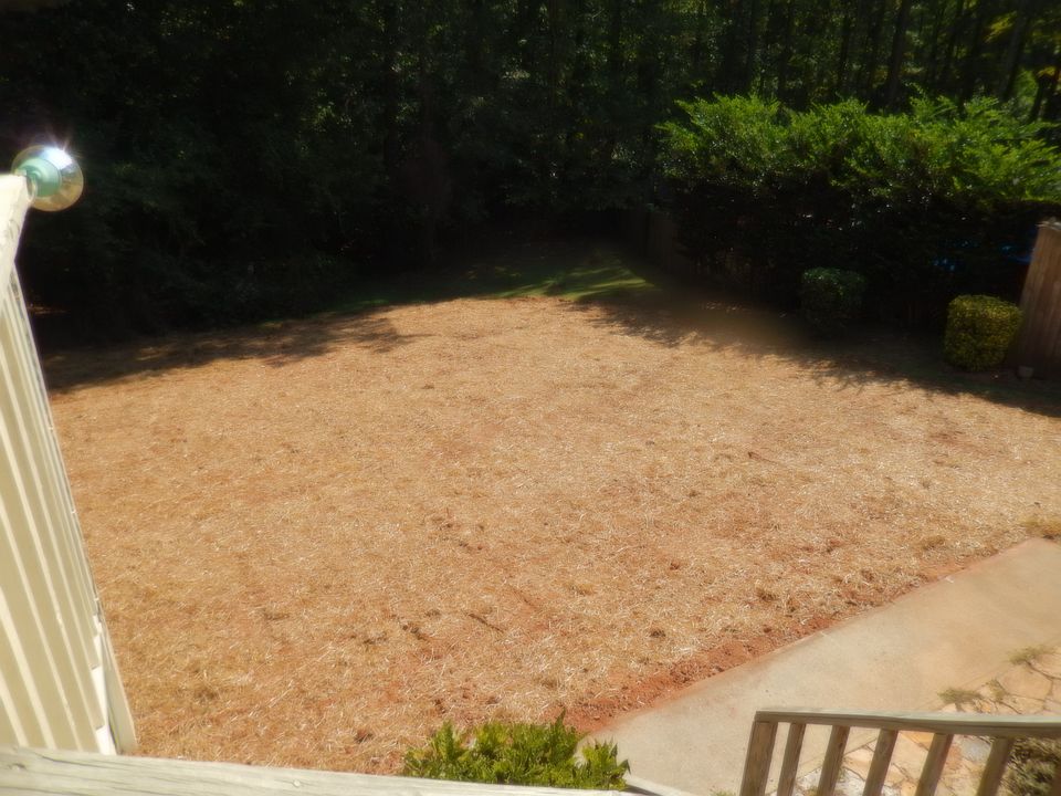 Backyard seeded