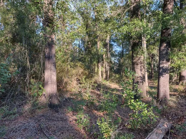 17335 NW 55th Ave, Starke, FL 32091