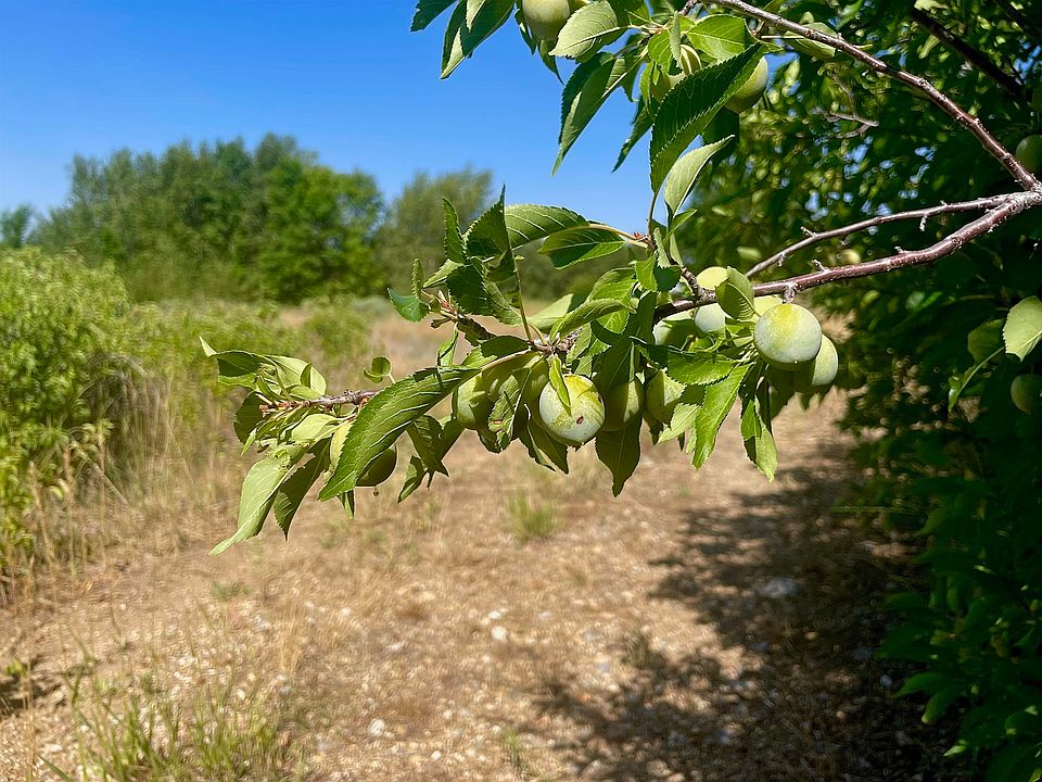 Cabresto Rd, Questa, NM 87556 MLS 109992 Zillow