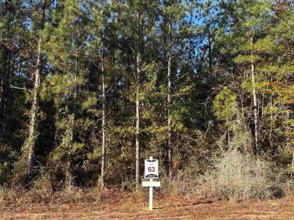 63 Straw Bridge Rd, Jay, FL 32565