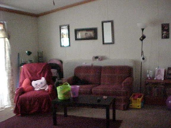 5th image of 181 Hollis Jensen St