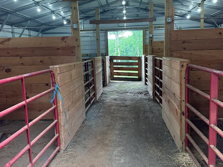 146 Sharon School Rd — Photo 13