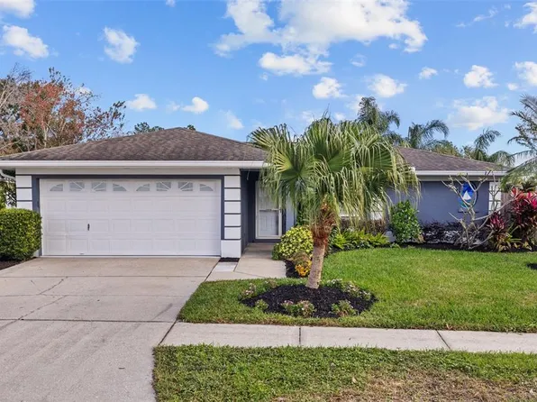 1932 Brainerd Ct, Lutz, FL 33549