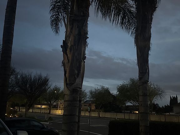 2nd image of 2604 Bonbon Dr