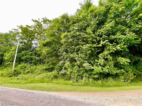 91 Whitetail Rdg, Wellsburg, WV 26070