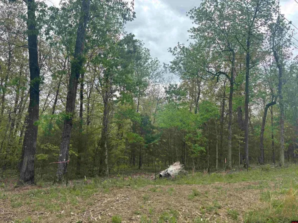 001-00408-000 Hand Cove Rd, Elizabeth, AR 72531