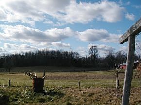 view out back of home