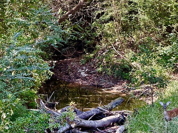 3rd image of Rock Hill Church Rd